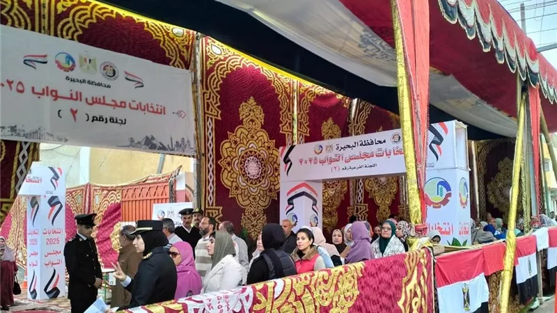 إقبال مبكر في لجان حوش عيسى مع بدء تصويت انتخابات النواب