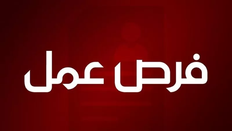 الشرقية توفر 1500 فرصة عمل جديدة للشباب في 19 مصنعًا بالقطاع الخاص