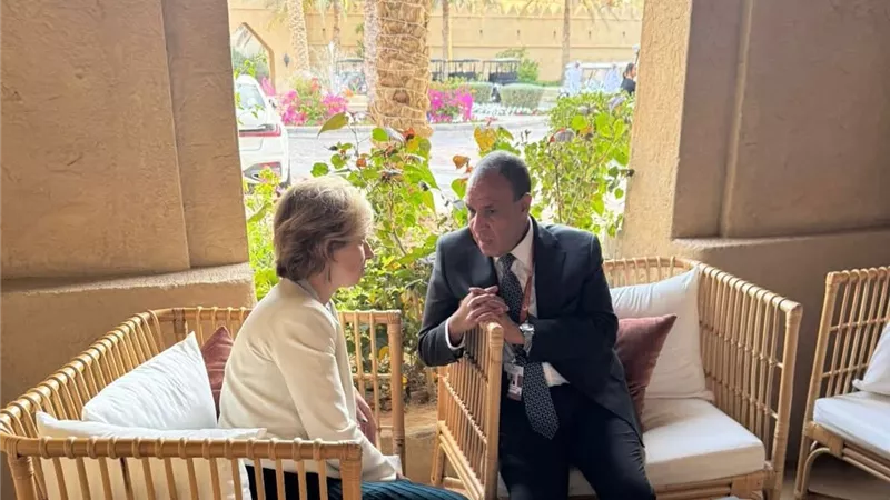 وزير الخارجية يبحث مع مستشارة الرئيس الفرنسي تعزيز الشراكة وتطورات قضايا المنطقة