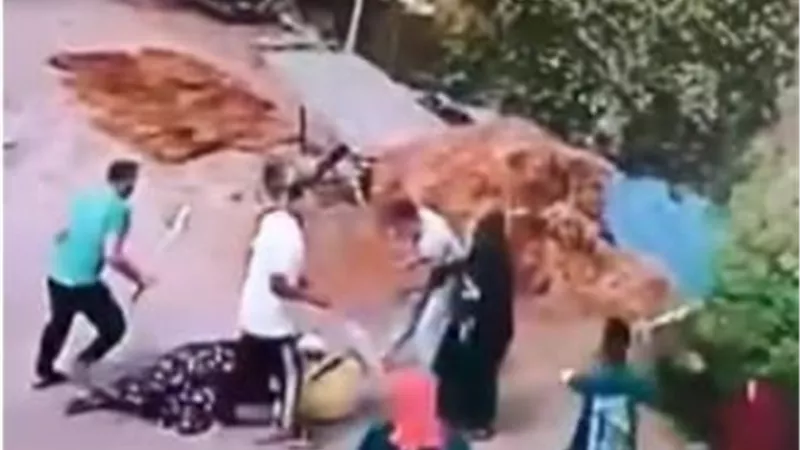 القبض على 11 شخصا بعد مشاجرة طاحنة بينهم في البحيرة