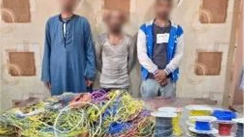 ضبط عاطلين لسرقتهما أسلاك كهربائية من العقارات بالشروق