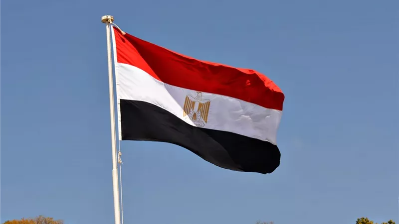 وكيل «إفريقية النواب»: مصر رمانة الميزان في مواجهة أزمات الإقليم