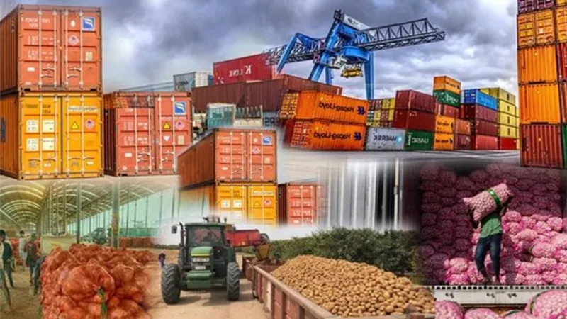 بنسبة 59%.. صادرات الصناعات الأغذية المصرية للمملكة المتحدة تسجل 137 مليون دولار