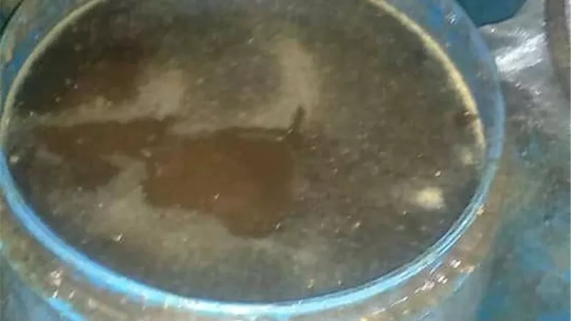 قنابل صحية متحركة.. لغز زيت القلي المستعمل من مطابخ البيوت إلى شوارع بلا رقابة