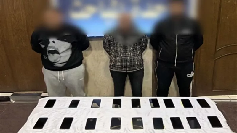الأجهزة الأمنية تضبط تشكيلات سرقة متنوعة بالإسكندرية وقنا