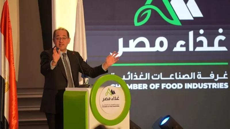 وزير المالية: الموازنة الجديدة ستشهد مزيدًا من المساندة لقطاعات الصناعة 
