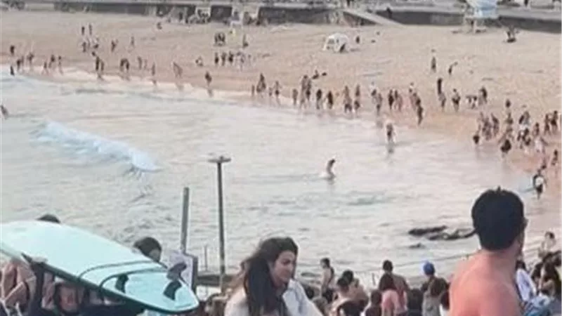 ضربة حاسمة.. أستراليا تعتقل 7 مشتبهين بقضية هجوم بوندي