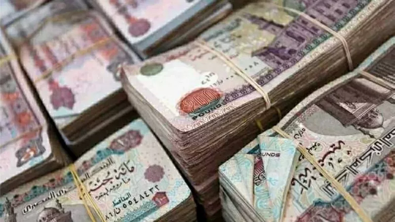 من يحق له الحصول على معاش الشيخوخة والعجز والوفاة؟.. القانون يحدد الشروط