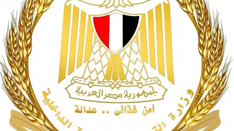 أرقام مهمة للمواطنين.. كيف تقدم شكوى بشأن الخبز السياحي والفينو؟