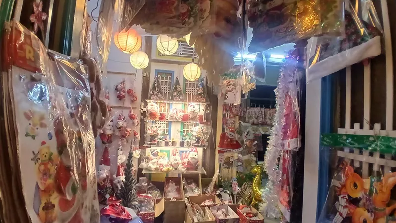 شارع ابن الخصيب يتلألأ بالكريسماس.. دينا تفتح أبواب الفرح لأهالي المنيا  