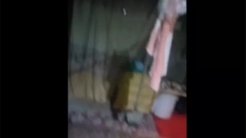 كشف ملابسات فيديو تهديد سيدة وأسرتها لإجبارها على ترك مسكنها بالغردقة