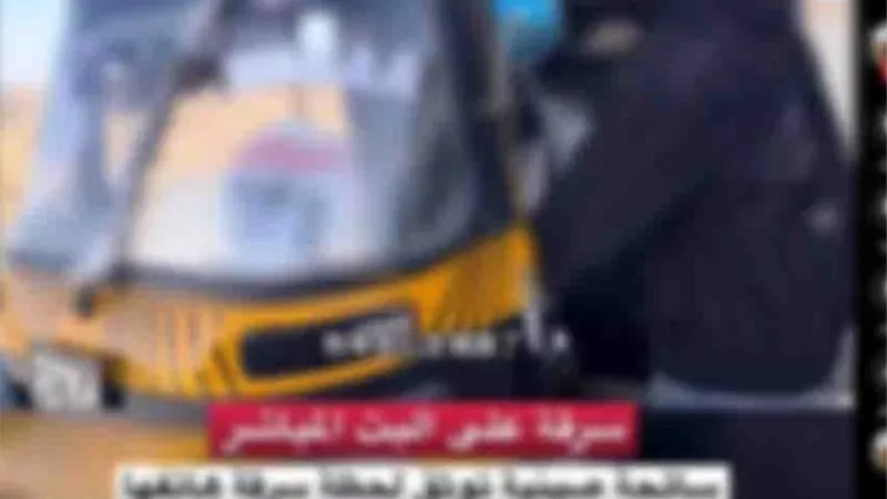 طلع قديم.. حقيقة فيديو سرقة هاتف أجنبيّة من توك توك في أسوان