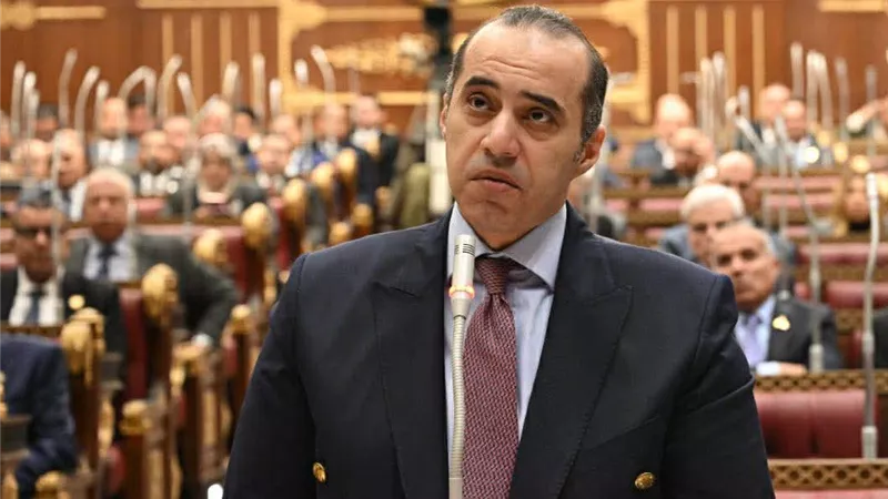 وزير الشؤون النيابية: سلطة التنظيم حق للدولة ولا استقلال مطلق للنقابات