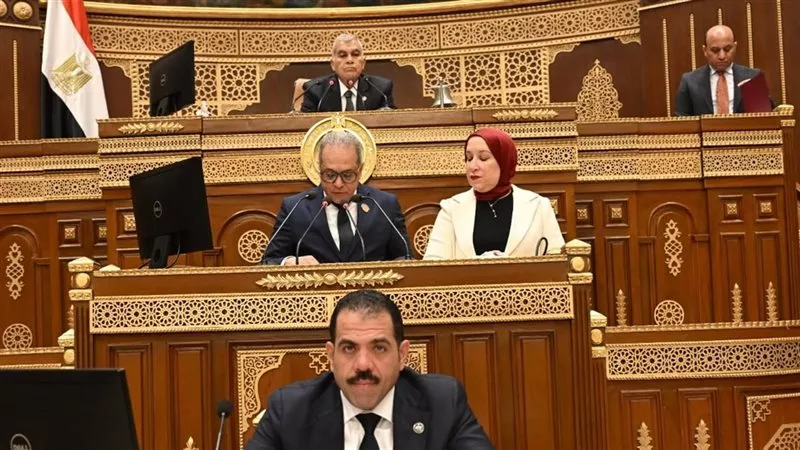 مجلس الشيوخ يوافق مبدئيًا على تعديلات مشروع قانون الكهرباء