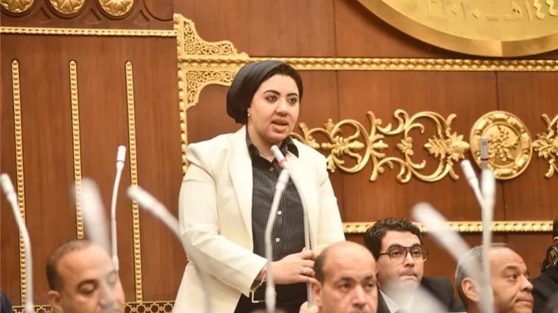 برلمانية تعترض على تعديل قانون الكهرباء: الاعتماد على التغليظ يفضي إلى تشريع عقابي