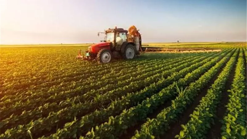 الزراعة: أراضي الوقف لا تمثل سوى نحو 1% من إجمالي الرقعة الزراعية