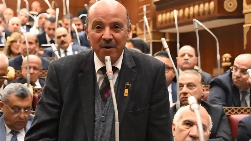برلمانية المصري الديمقراطي بالشيوخ ترفض مشروع قانون الكهرباء: قد تطال المواطنين البسطاء
