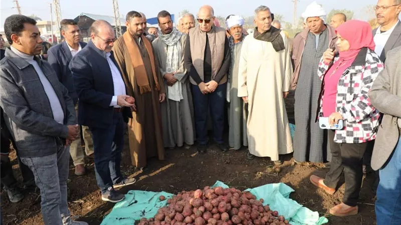 محافظ المنيا يشهد حصاد البطاطس بمطاي ويؤكد دعم الزراعة التصديرية
