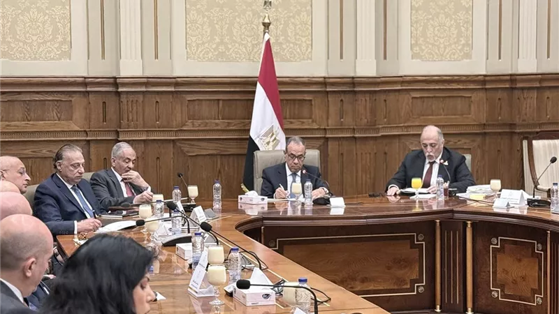 القصبي: بدر عبد العاطي نموذج للسفير الوطني المخلص