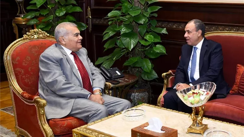 وزير الخارجية يلتقي رئيس مجلس الشيوخ
