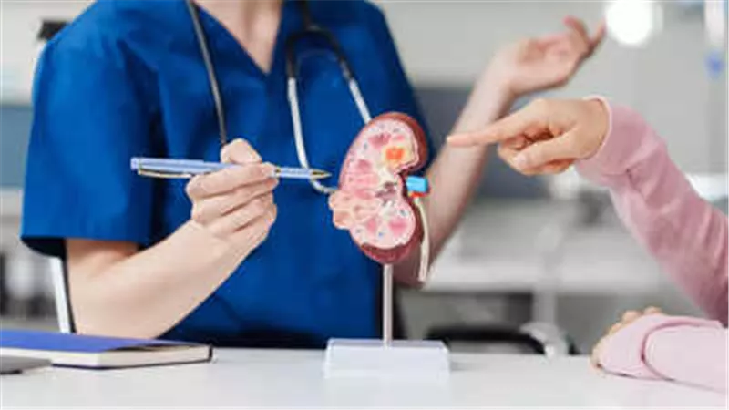 5 عادات تهدد صحة الكلى لدى النساء بعد سن الأربعين.. تحذير من طبيب أمريكي