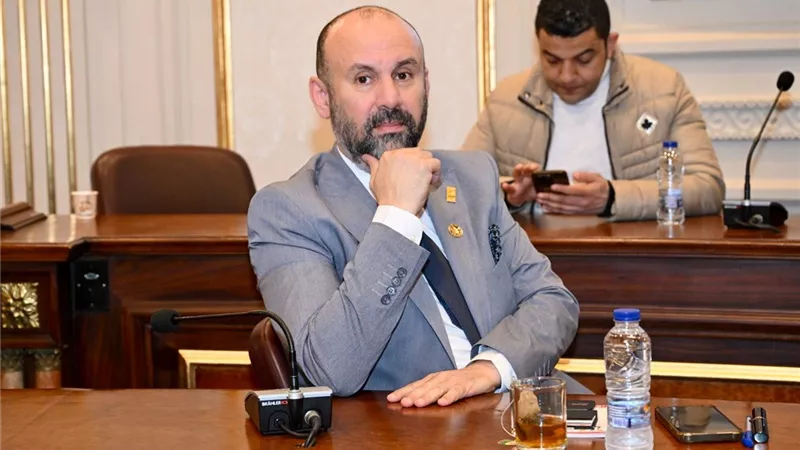 النائب باسم كامل: التعاون الدولي أداة سياسية واقتصادية داعمة للتنمية وليس مجرد تمويل