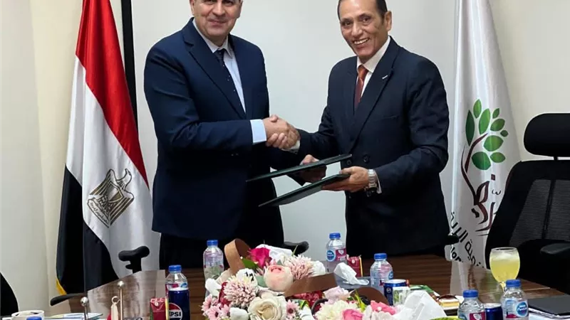 بتكلفة 25 مليار جنيه.. مشروع جديد لشركة تنمية الريف المصري الجديد لتوصيل الكهرباء إلى منطقة سهل المنيا الغربى