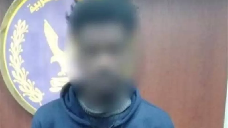 ضبط شخص تحرش لفظياً بسيدة أجنبية داخل فندق بالقاهرة