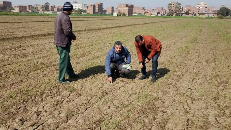 لا خسائر في المحاصيل.. وزير الزراعة يوجه بتشديد الرقابة على المبيدات ومتابعة موقف النمل الأبيض 