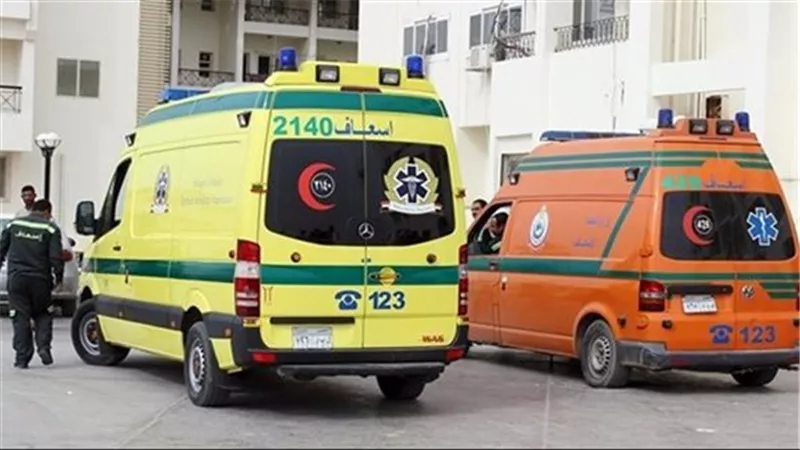 إصابة 5 أشخاص في انقلاب ميكروباص بطريق أسيوط الصحراوي