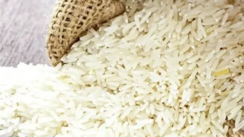 من الاكتفاء الذاتي للريادة الإقليمية.. كيف تعيد مصر رسم خريطة إنتاج الأرز؟