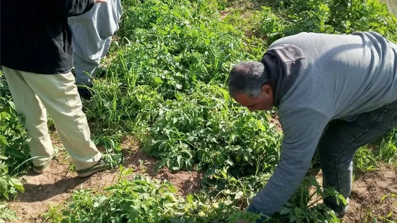 بتكليفات من الوزير.. أول تحرك من 