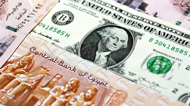 الدولار يقفز أمام الجنيه وسط تقلبات الأسواق وتدفقات الأموال الساخنة بالبنوك