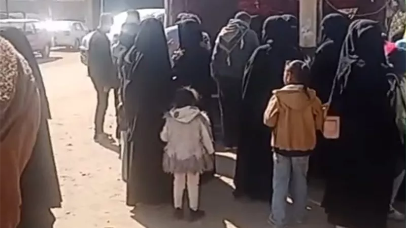 توافد الناخبين على لجان الواحات بمدرسة القصر وسط دعم واسع لأبو العلا