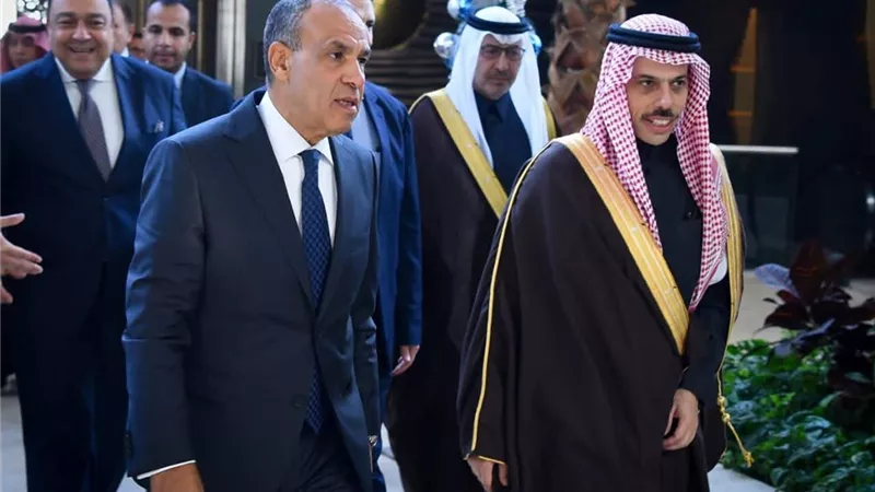 رفض أي إجراءات تمس سيادة الصومال.. تفاصيل لقاء وزير الخارجية مع نظيره السعودي