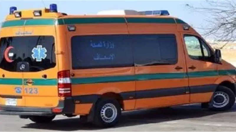حادث مأساوي بالمنيا… مصرع شخص وإصابة 13 آخرين في انقلاب ميكروباص