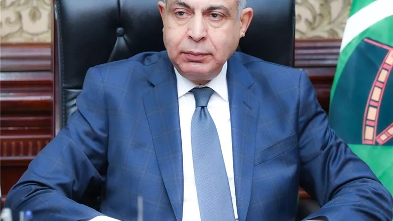 محافظ المنيا 