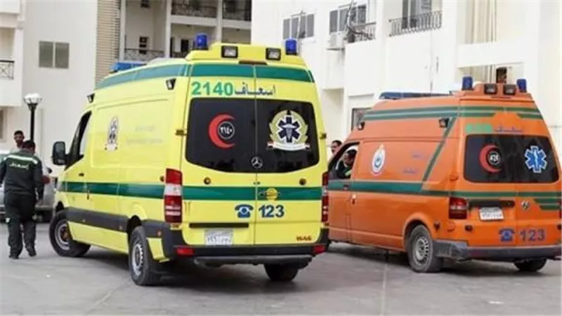 مريضة نفسيًا تلقي حجارة داخل معهد أزهري وتصيب 6 أطفال بالبدرشين
