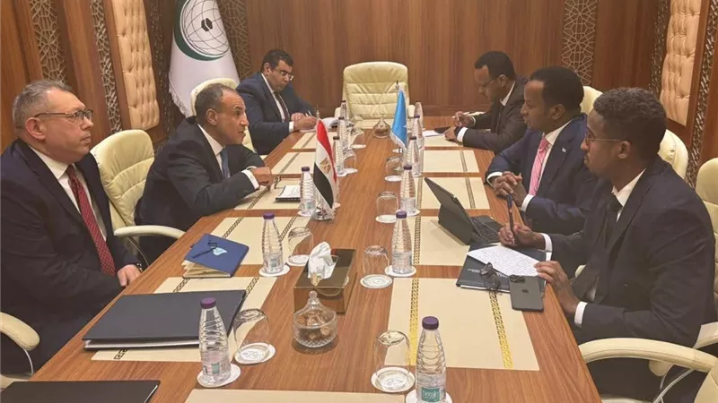 مصر والصومال تؤكدان تعزيز الشراكة الاستراتيجية والتعاون التجاري