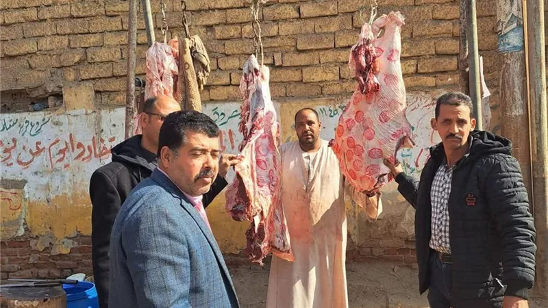 بيطري المنيا: ضبط 252 كيلو لحوم غير صالحة ولحوم مذبوحة خارج المجازر