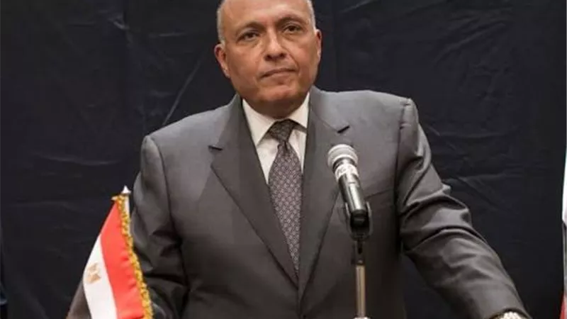 السيسي يعين وزير الخارجية السابق.. تعرف علي السيرة الذاتية للنائب سامح شكري