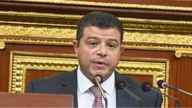 محمد السيد سليمان رئيسًا ولجنة الخطة والموازنة بمجلس النواب