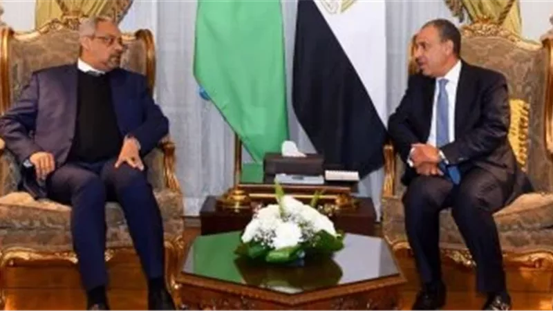 عبد العاطي ونظيره الجيبوتي يبحثان تعزيز التعاون الإقليمي ومشروعات البنية التحتية