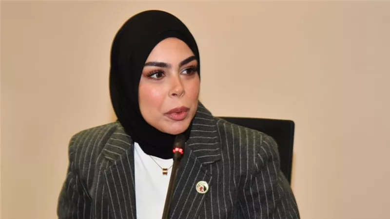 برلمانية: إطلاق «ميثاق الشركات الناشئة» إعلان رسمي بدخول مصر عصر الاقتصاد المعرفي