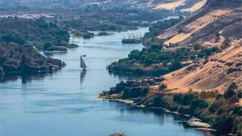 وكيل «زراعة الشيوخ» يحذر: ورد النيل «عدو صامت» يلتهم مياه مصر
