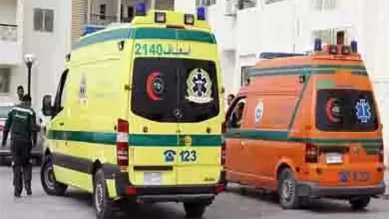 8 مصابين في حادث انقلاب ميكروباص بالطريق الصحراوي الغربي بالمنيا