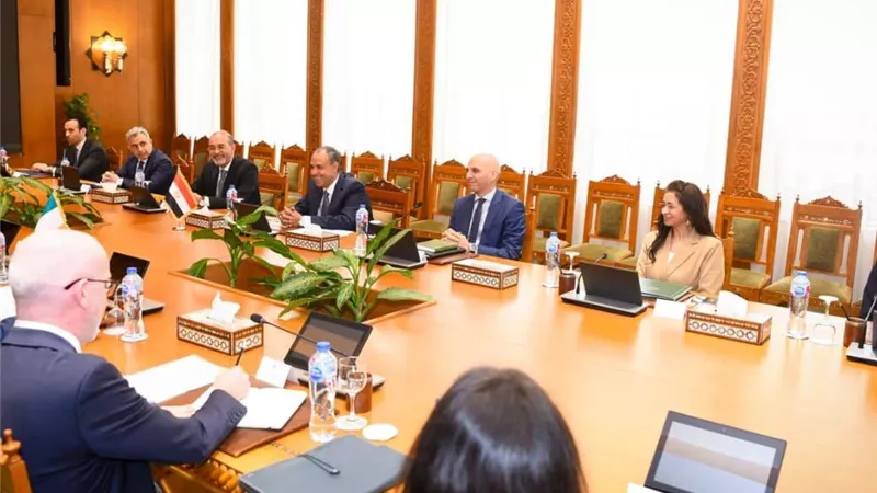 مشاورات سياسية بين مصر وإيرلندا لدعم العلاقات الثنائية والتشاور حول التطورات الإقليمية