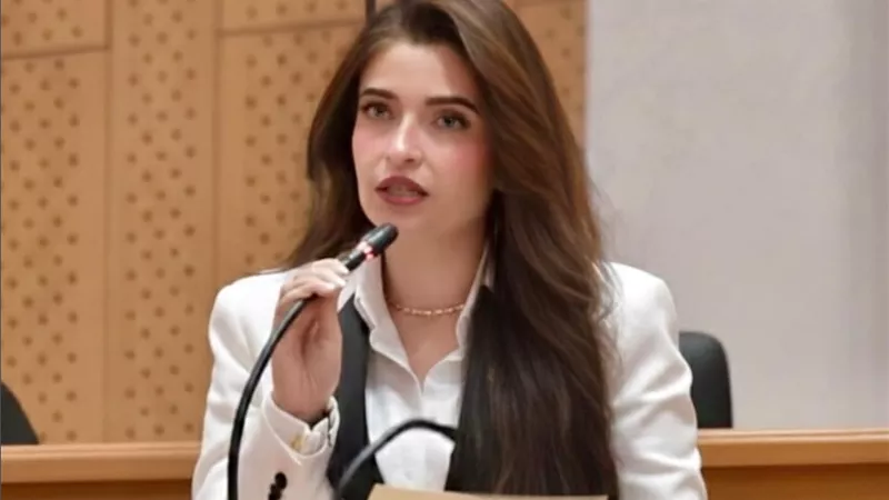 إيرين سعيد لـ«تفصيلة»: قانون فصل الموظفين بسبب المخدرات يحتاج مراجعة عاجلة لضمان دقة التحاليل ومنع الأخطاء