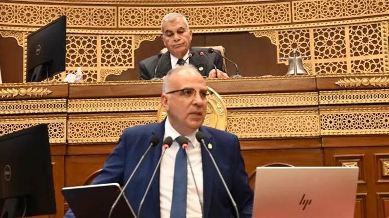 الجيل الثاني لمنظومة المياه في مصر.. وزير الري يكشف تفاصيل جديدة أمام مجلس الشيوخ