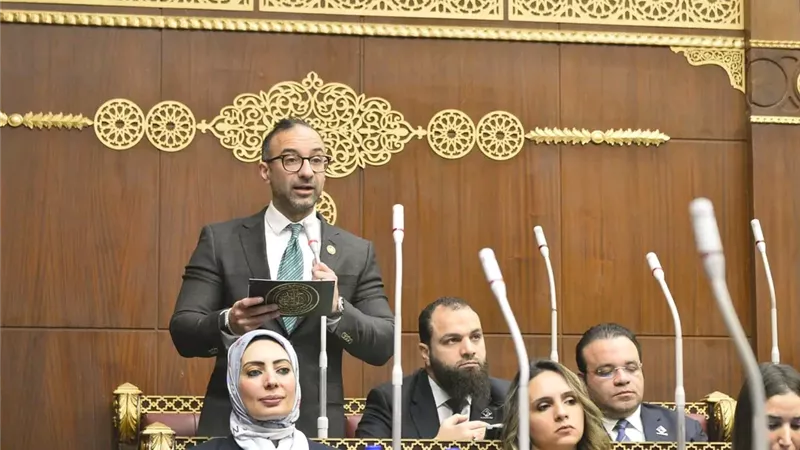 الحمامصي يطالب بخطة تنفيذ استراتيجية مواجهة التغيرات المناخية 2050